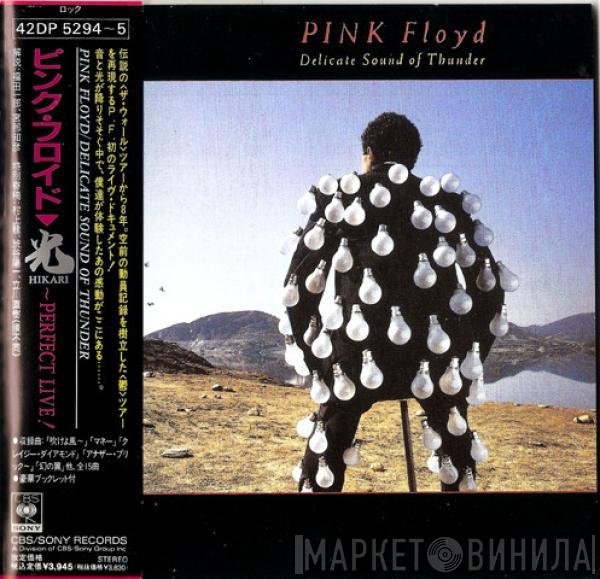  Pink Floyd  - Delicate Sound Of Thunder = 光 Hikari~Perfect Live!