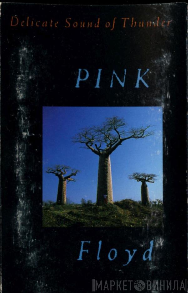  Pink Floyd  - Delicate Sound Of Thunder