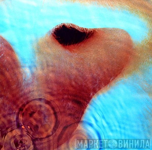 Pink Floyd - Meddle