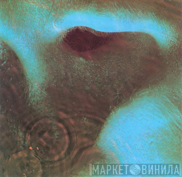  Pink Floyd  - Meddle