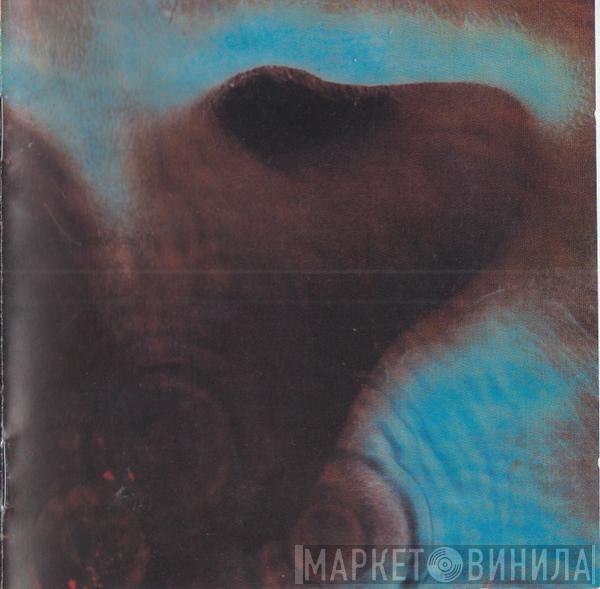  Pink Floyd  - Meddle