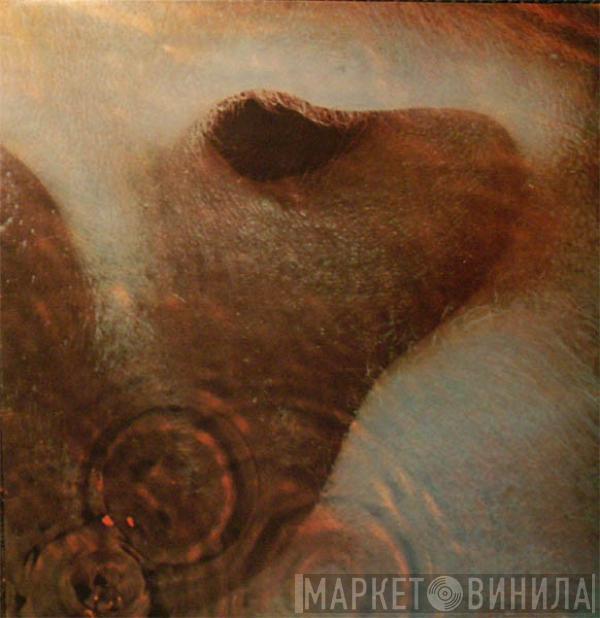  Pink Floyd  - Meddle