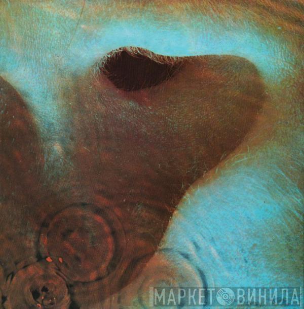  Pink Floyd  - Meddle