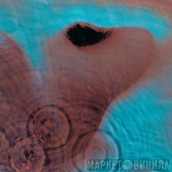  Pink Floyd  - Meddle