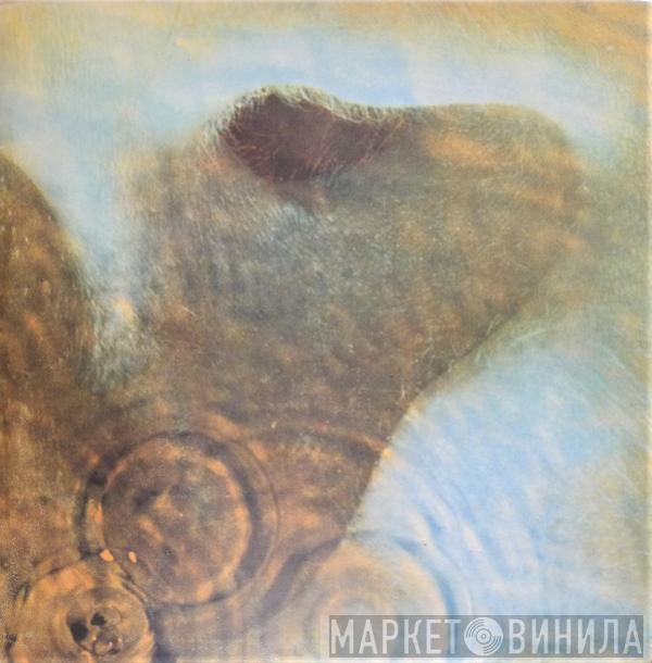  Pink Floyd  - Meddle