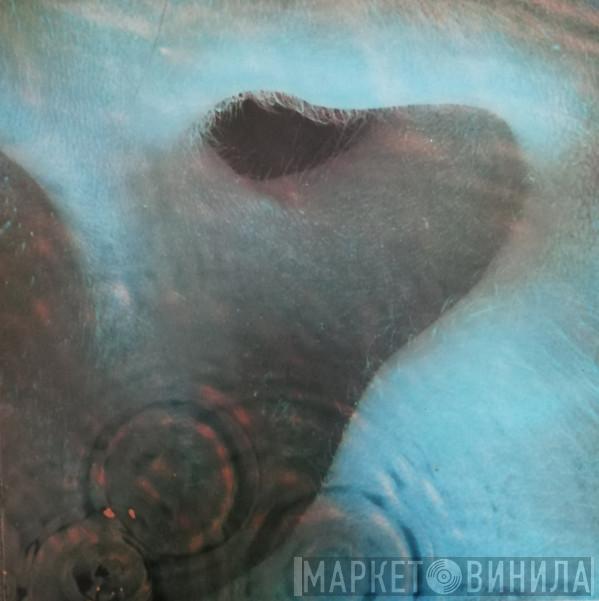  Pink Floyd  - Meddle