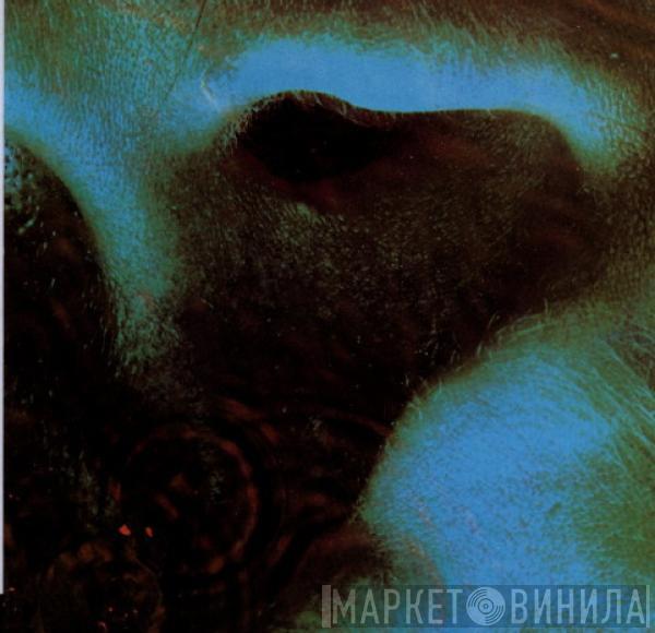  Pink Floyd  - Meddle