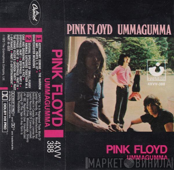  Pink Floyd  - Ummagumma