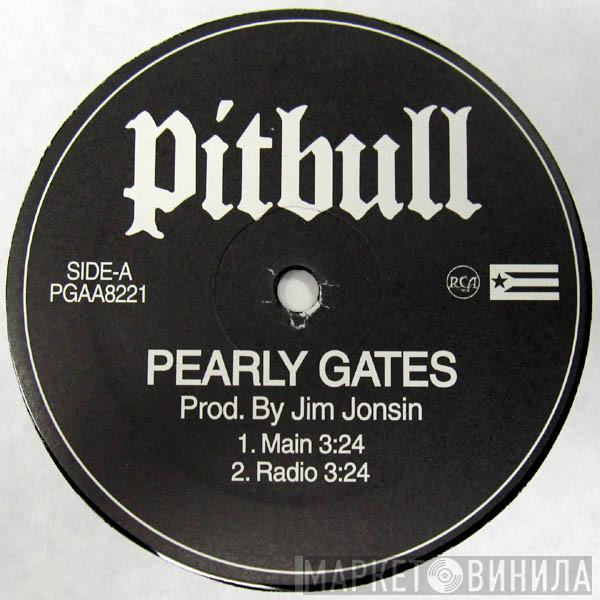  Pitbull  - Pearly Gates / Shut It Down / Girls / Activated