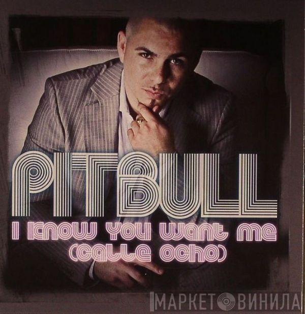 Pitbull - I Know You Want Me (Calle Ocho)