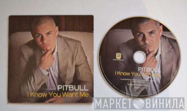  Pitbull  - I Know You Want Me (Calle Ocho)