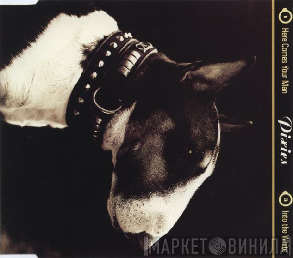 Pixies - Here Comes Your Man
