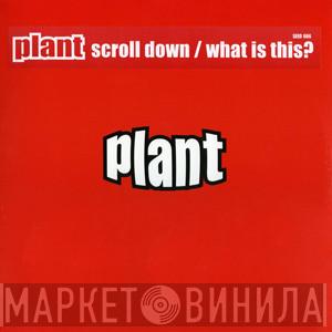 Plant  - Scroll Down / What Is This?