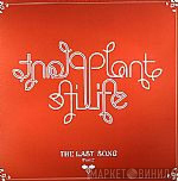  Plant Life  - The Last Song (Part 2)