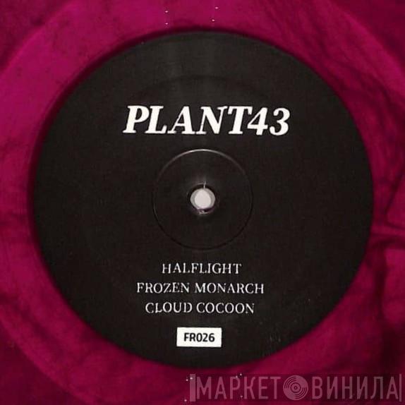 Plant43 - Frozen Monarch