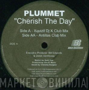  Plummet  - Cherish The Day
