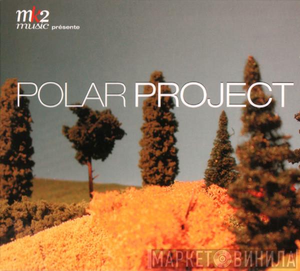  - Polar Project