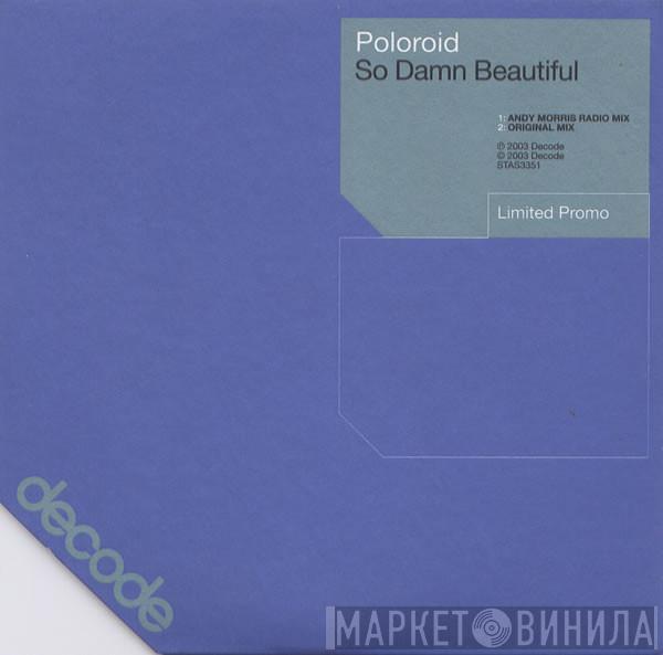 Poloroid - So Damn Beautiful