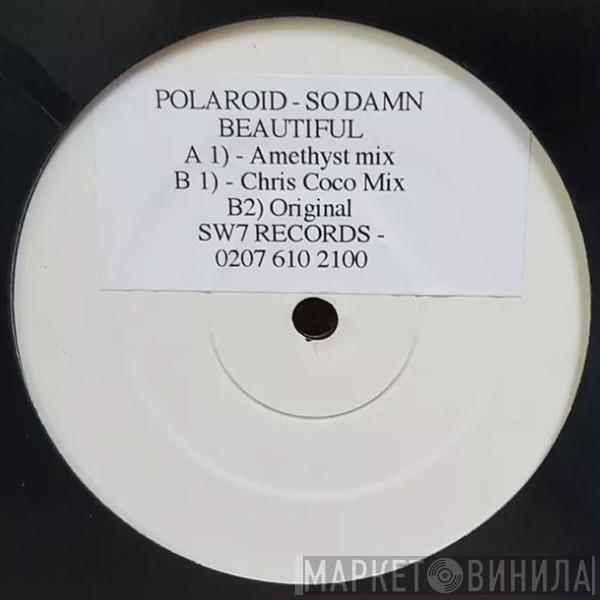 Poloroid - So Damn Beautiful