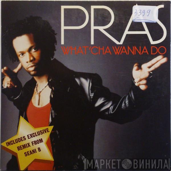  Pras Michel  - What'cha Wanna Do