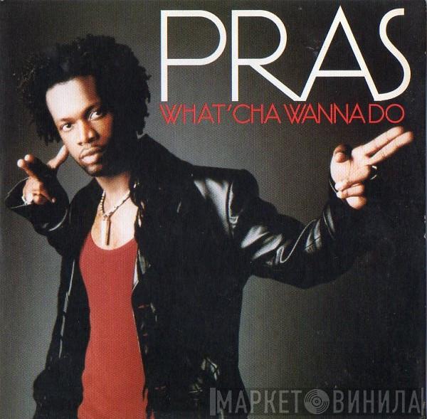  Pras Michel  - What'cha Wanna Do