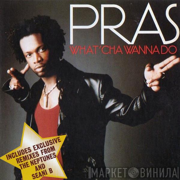  Pras Michel  - What'cha Wanna Do