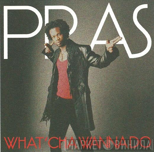  Pras Michel  - What'cha Wanna Do