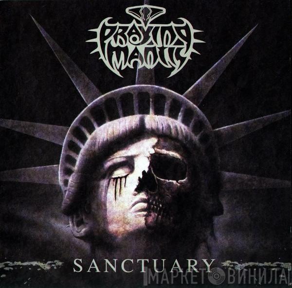 Praying Mantis  - Sanctuary