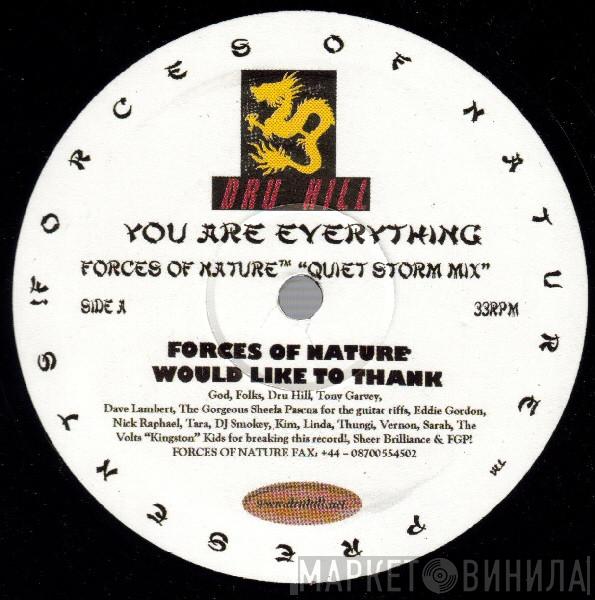 Presents Forces Of Nature   Dru Hill  - You Are Everything