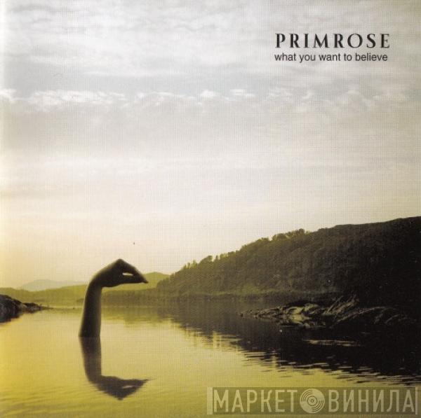 Primrose - What You Want To Believe