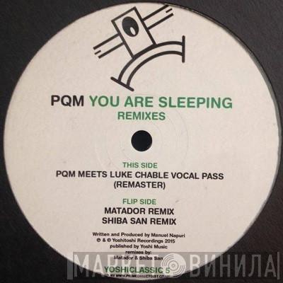 Prince Quick Mix - You Are Sleeping Remixes
