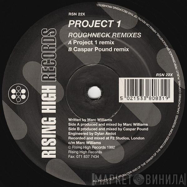 Project One - Roughneck (Remixes)