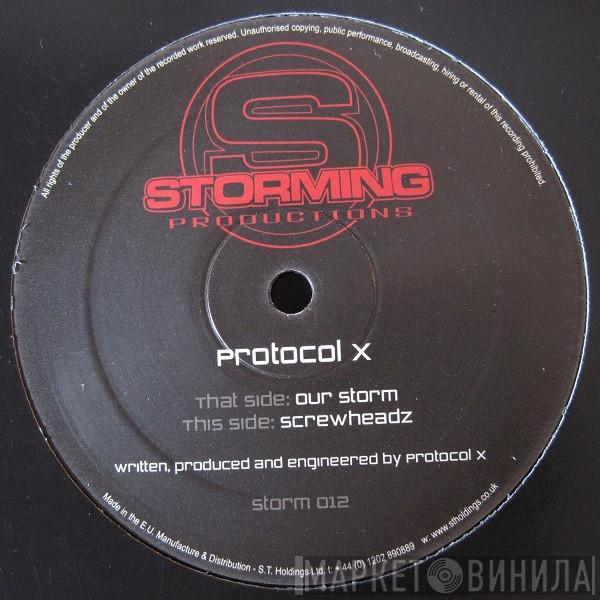Protocol X  - Our Storm