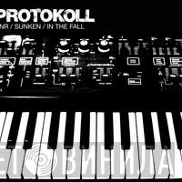 Protokoll - DNR