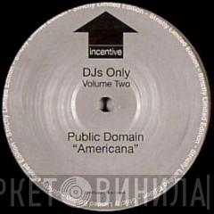 Public Domain, Vince Nysse - DJs Only (Volume Two)
