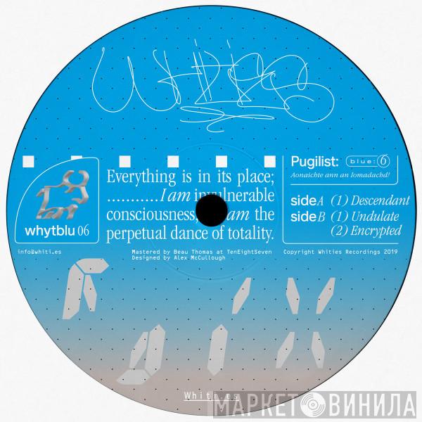 Pugilist - Blue 06