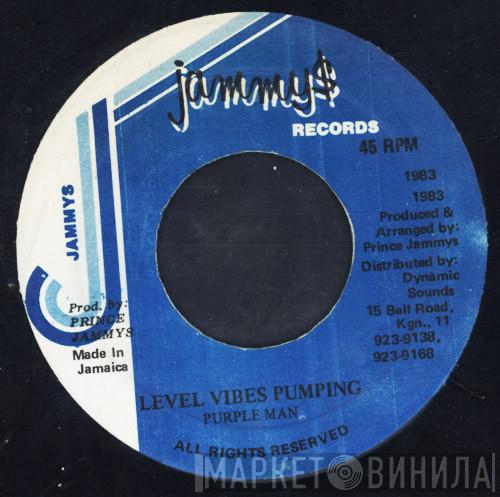 Purpleman - Level Vibes Pumping