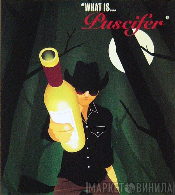  Puscifer  - What Is... Puscifer