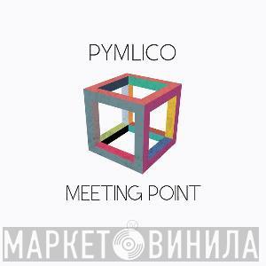 Pymlico - Meeting Point