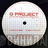  Q Project  - Faith In Chaos / Sex In The City