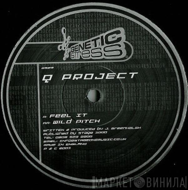 Q Project  - Feel It / Wild Pitch