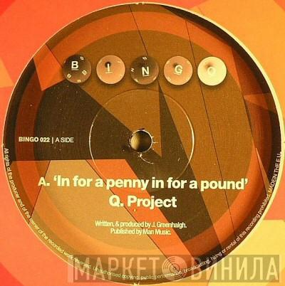  Q Project  - In For A Penny In For A Pound / Under She Goes
