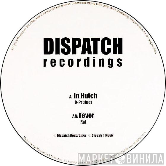  Q Project  - In Hutch
