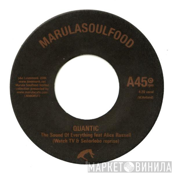 Quantic - The Sound Of Everything