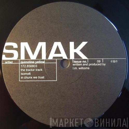 Quinoline Yellow, Massimo Pilia - SMAK 09 / 10