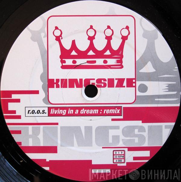 R.O.O.S. - Living In A Dream (Remix)
