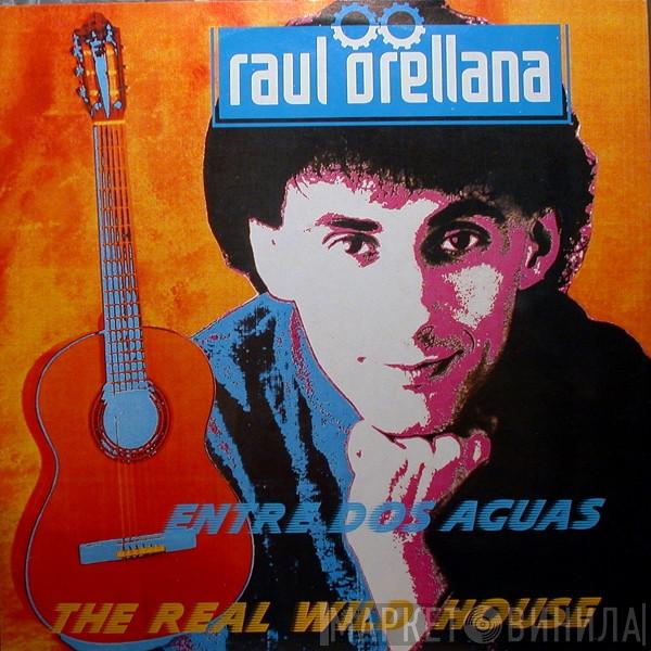 Raúl Orellana - The Real Wild House