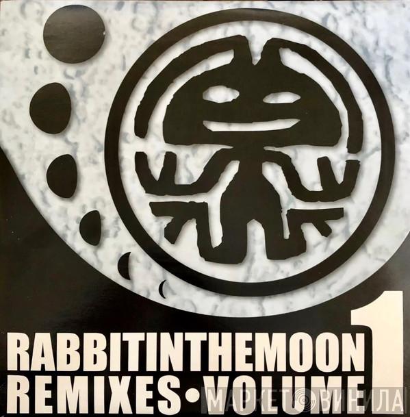  Rabbit In The Moon  - The Rabbit In The Moon Remixes • Volume One