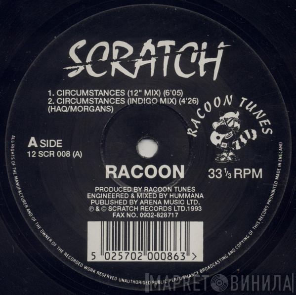  Racoon   - Circumstances / Koomalata