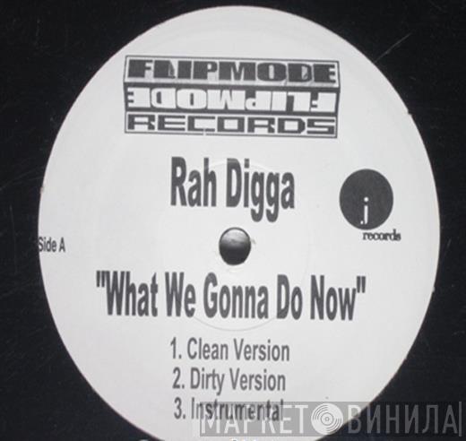 Rah Digga - What We Gonna Do Now
